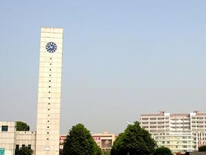 Round Surface Double Dial Tower Clock