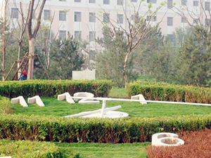 Floral Clock in A Garden