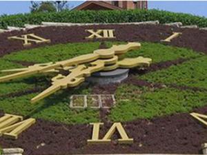 Flower Clock in A Park