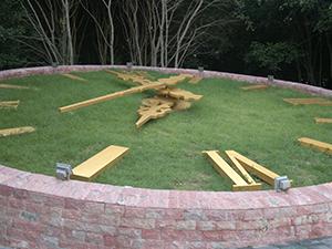 Flower Clock in A Park